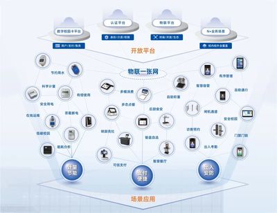共筑教育数字化新生态 新开普亮相2025中国高校数字化发展与创新交流会 应用软件服务